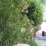 Hotell Restaurant Martinez 3*