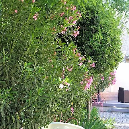 Hotel Restaurant Martinez 3*